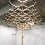 tree-series-installation-jk-ar_1