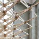 tree-series-installation-jk-ar_6